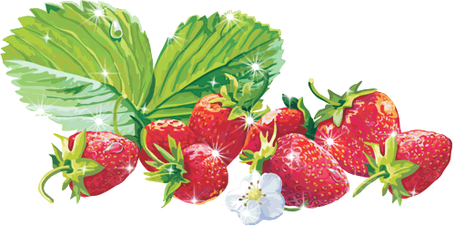 fraises
